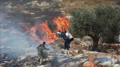 عشرات المستوطنين يحرقون غرفا زراعية في قرية المغير وسط الضفة