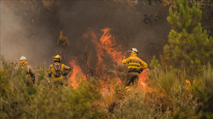 Spain battles wave of wildfires as over 115,000 hectares of land burned