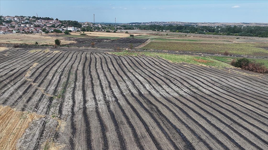 Anız yakmak canlı yaşamını yok ederek toprağa zarar veriyor