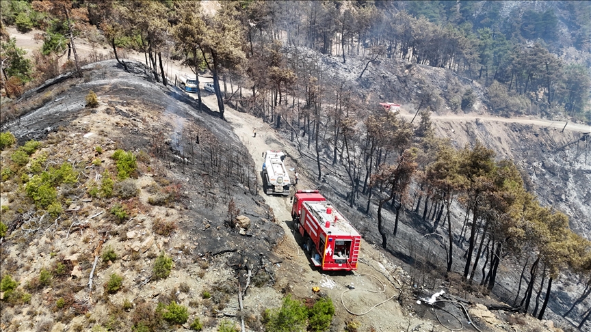 Syria fully extinguishes wildfires in Latakia, Hama countryside