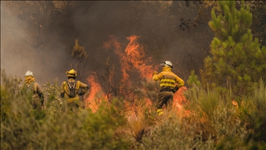 Spain battles wave of wildfires as over 115,000 hectares of land burned