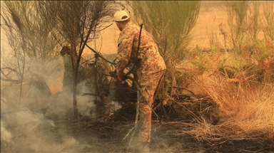 Wildfires continue at over 51 locations across Spain