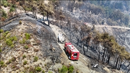 Syria fully extinguishes wildfires in Latakia, Hama countryside