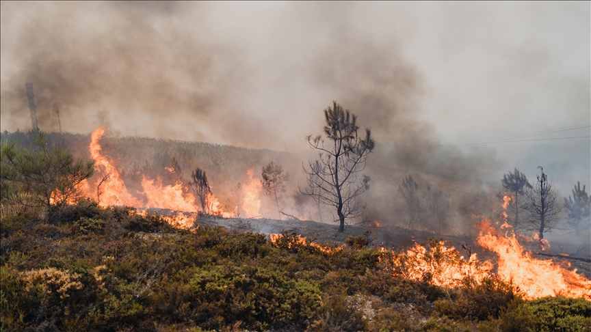 Asciende a 4 el número de fallecidos en los incendios forestales en España