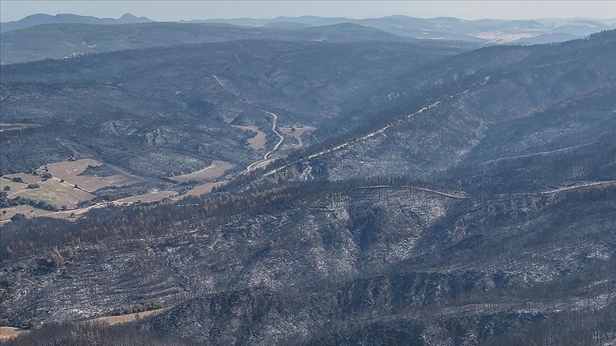 Çanakkale'de yangında zarar gören alanlar dronla görüntülendi