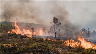 Asciende a 4 el número de fallecidos en los incendios forestales en España
