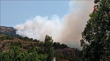 Çorum ve Malatya'da çıkan orman yangınlarına müdahale ediliyor