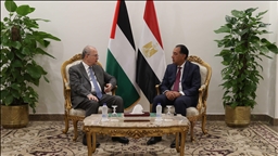 Egypt assures Palestine that it is making efforts to end Gaza war