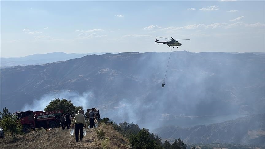 Li Meletiyê agirê ku bi daristanê ket, hat temirandin