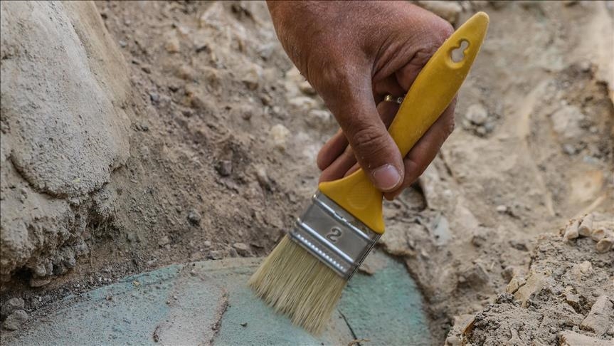 Australi, një perlë fosile e gjetur konfirmohet të jetë 100 milionë vjeçare