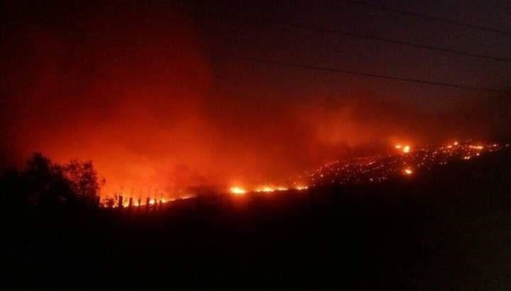 سوريا.. الدفاع المدني يسيطر على حريق في غابات اللاذقية 