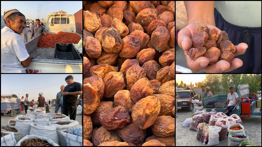 Kırgızistan'ın Batken şehrindeki kuru kayısı pazarı hareketlendi