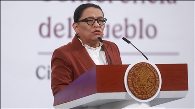 Mexico denies claims of joint operation with US drug agency