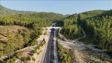 Antalya'nın ekolojik köprüsü yaban hayatını koruyor