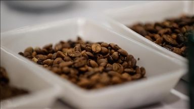 Global coffee consumption over last decade totaled $370B
