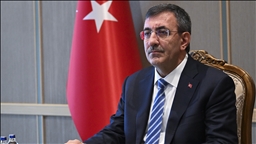 Türkiye vows continued support for Ukraine peace