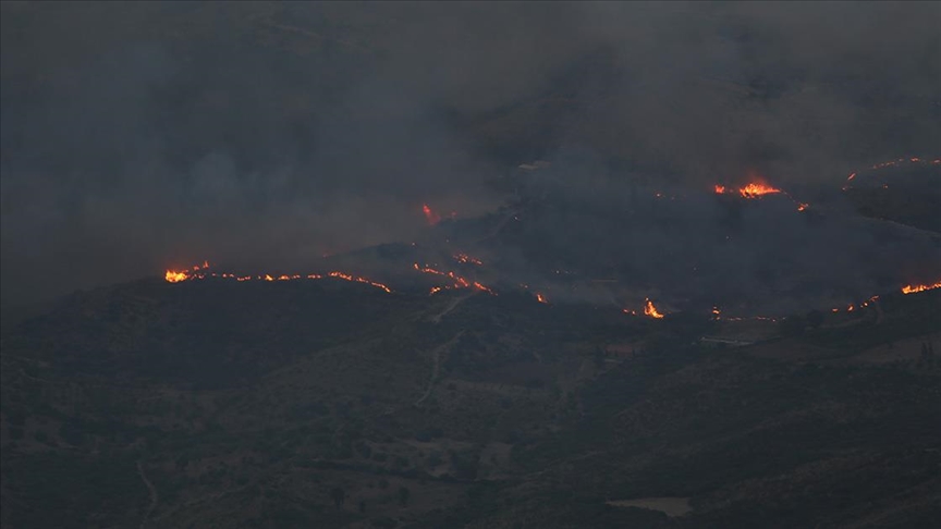 سببت خسائر كبيرة.. حرائق الغابات تتمدد في 5 دول عربية (محصلة)