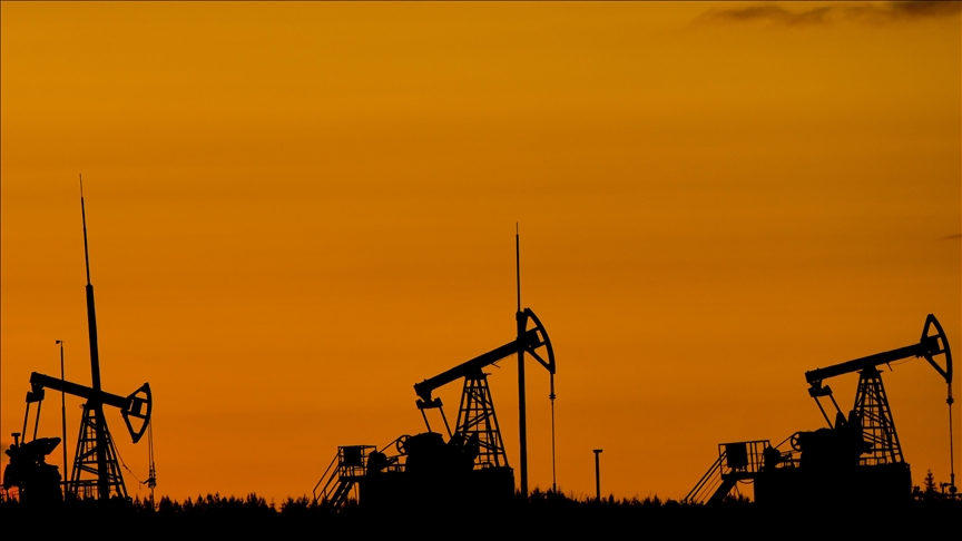 Moscow has ‘special mechanism’ to continue oil supplies to India amid US tariffs: Russian official