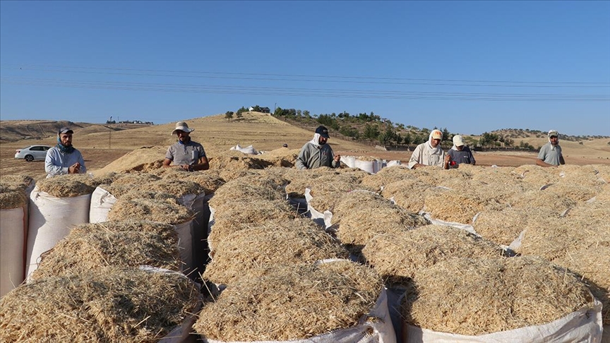 Saman işçileri sıcak hava ve toza karşı ekmek mücadelesi veriyor