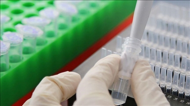 Fat cells may fuel aggressive breast cancers: Study