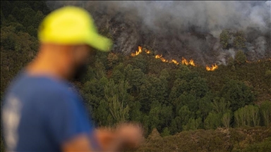 Hampir 865 ribu hektar lahan terbakar di Spanyol selama 13 hari terakhir