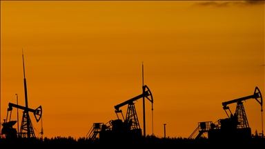 Moscow has ‘special mechanism’ to continue oil supplies to India amid US tariffs: Russian official