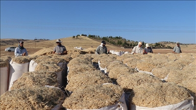 Saman işçileri sıcak hava ve toza karşı ekmek mücadelesi veriyor