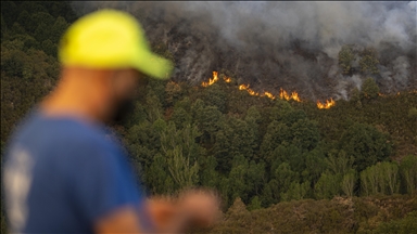 Nearly 865,000 acres burned in Spain over past 13 days amid raging wildfires