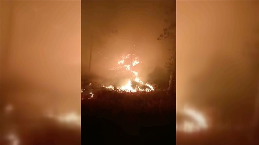Muğla'da çıkan orman yangınına müdahale ediliyor