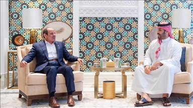 السيسي وابن سلمان يجددان رفض تهجير الفلسطينيين وإعادة احتلال غزة 