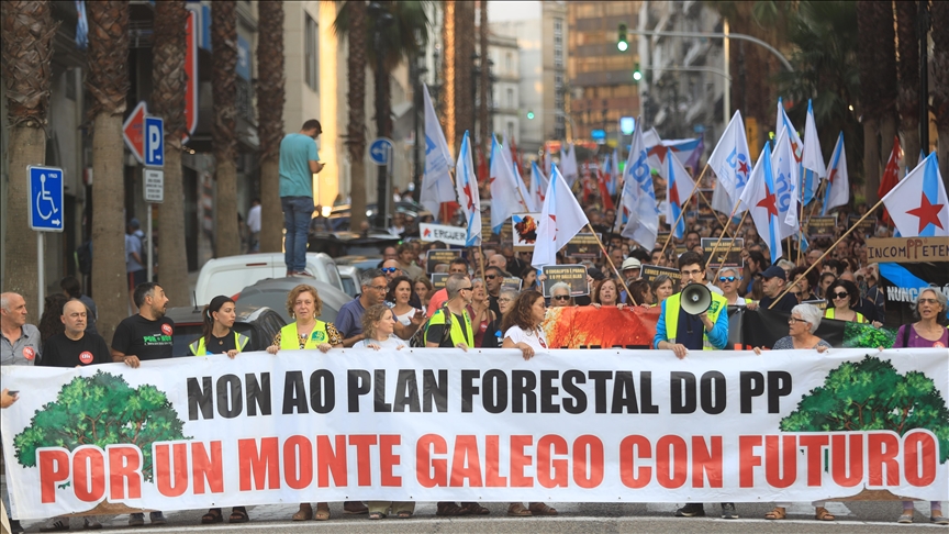Protesta në Spanjë kundër menaxhimit të zjarreve
