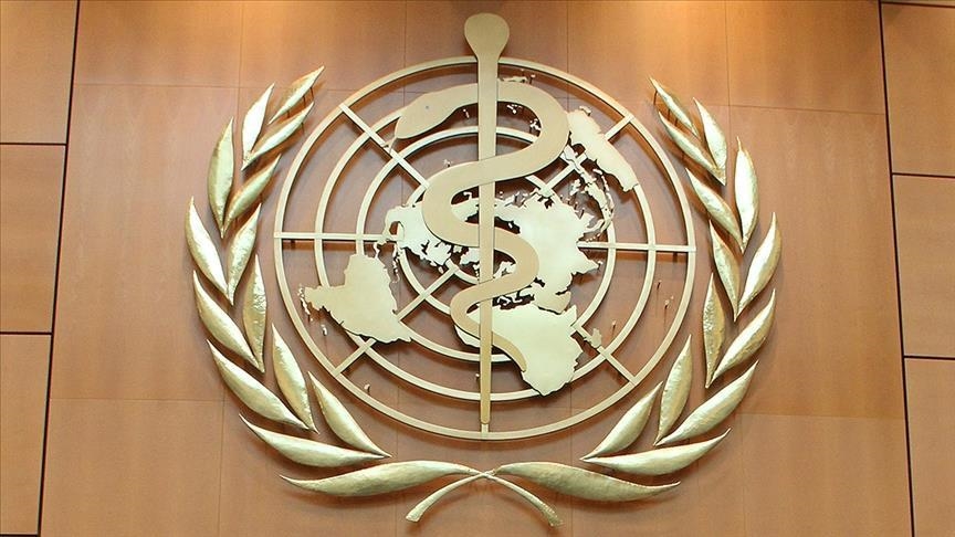 À Gaza, l’OMS alerte : la malnutrition rend les maladies bénignes fatales