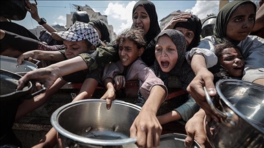 « Il ne fait aucun doute qu’il y a famine à Gaza » : L'Allemagne appelle Israël à laisser entrer suffisamment d’aide