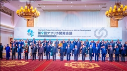 Japon : les pays africains s’engagent à coopérer sur les minerais stratégiques et la sécurité économique