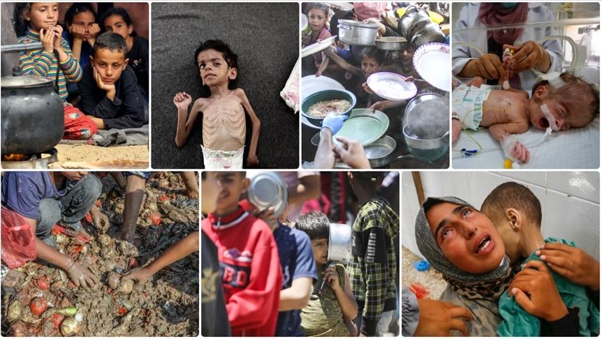 Famine à Gaza : l’Algérie appelle la communauté internationale à assumer ses responsabilités