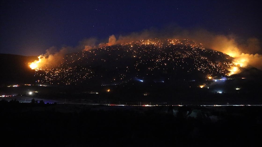 Denizli'nin Pamukkale ilçesinde orman yangını çıktı