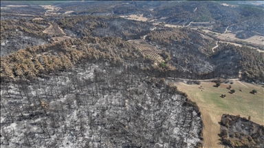 Çanakkale'de yangında zarar gören alanlar dronla görüntülendi 