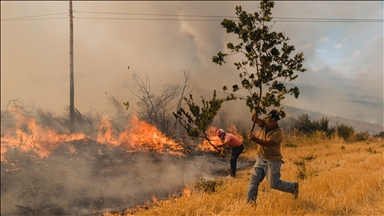 Ongoing fires in Portugal raise death toll to 4 