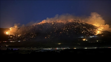 Denizli'nin Pamukkale ilçesinde orman yangını çıktı