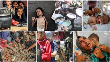 Famine à Gaza : l’Algérie appelle la communauté internationale à assumer ses responsabilités