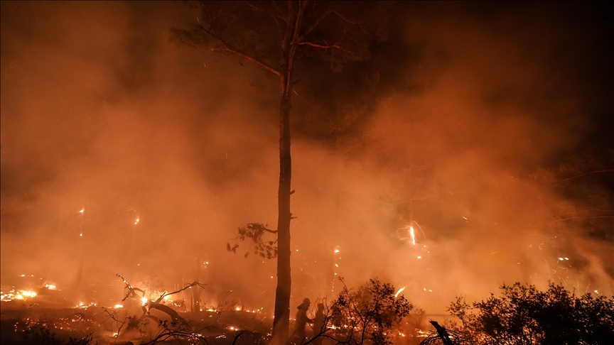 Firefighters battle forest fire in northern Morocco amid heat wave