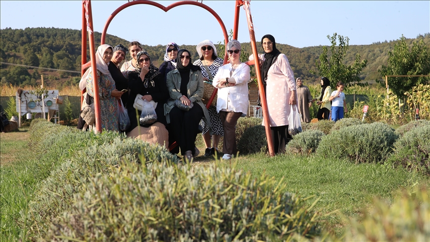 Sakarya'da kanser hastası kadınlar lavanta bahçesinde moral depoladı