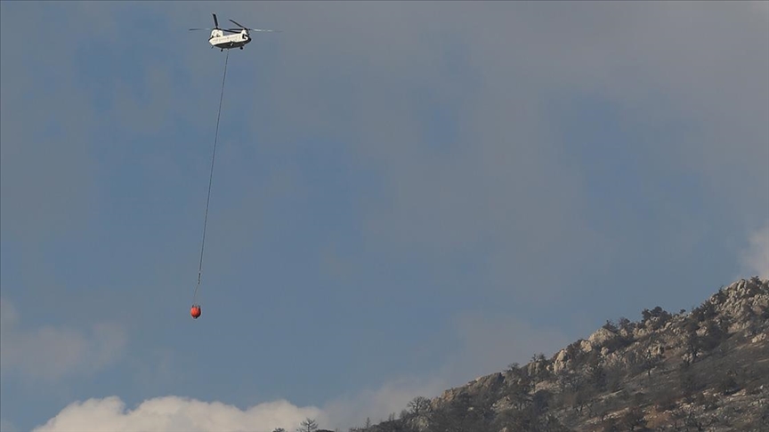 Denizli ve Malatya'daki orman yangını kontrol altına alındı