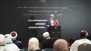İslam Alimleri Vakfı Başkanı Hacımüftüoğlu: Gazze'de insanlık yanıyor