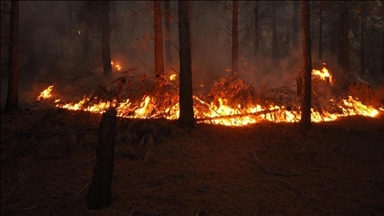 Vatrogasci se bore protiv velikog šumskog požara na sjeveru Maroka