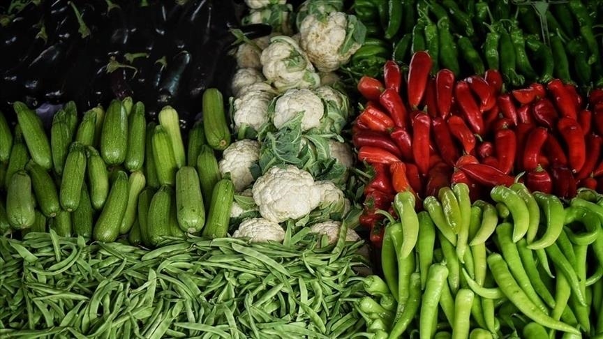 EU's vegetable harvest up 6% year-on-year in 2024