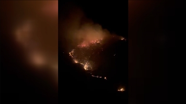 Balıkesir Marmara Adası'nda çıkan yangına müdahale ediliyor