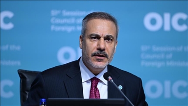 ‘Palestinians need our collective action,’ Turkish foreign minister says at OIC meeting