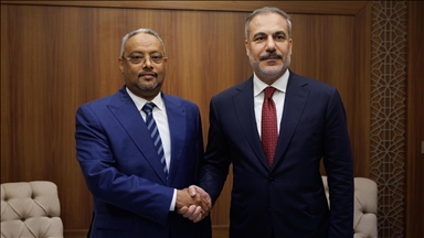 وزير الخارجية التركي يلتقي نظيره الجيبوتي في جدة