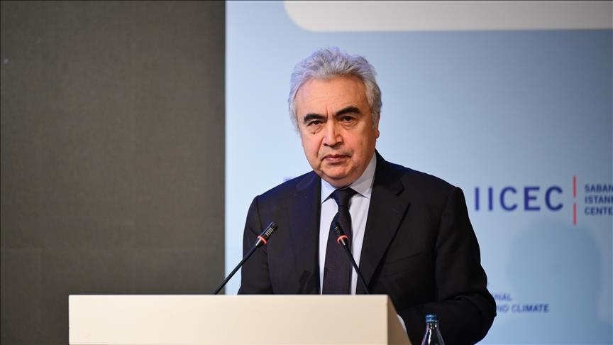 International Energy Agency chief stresses diversification for energy security